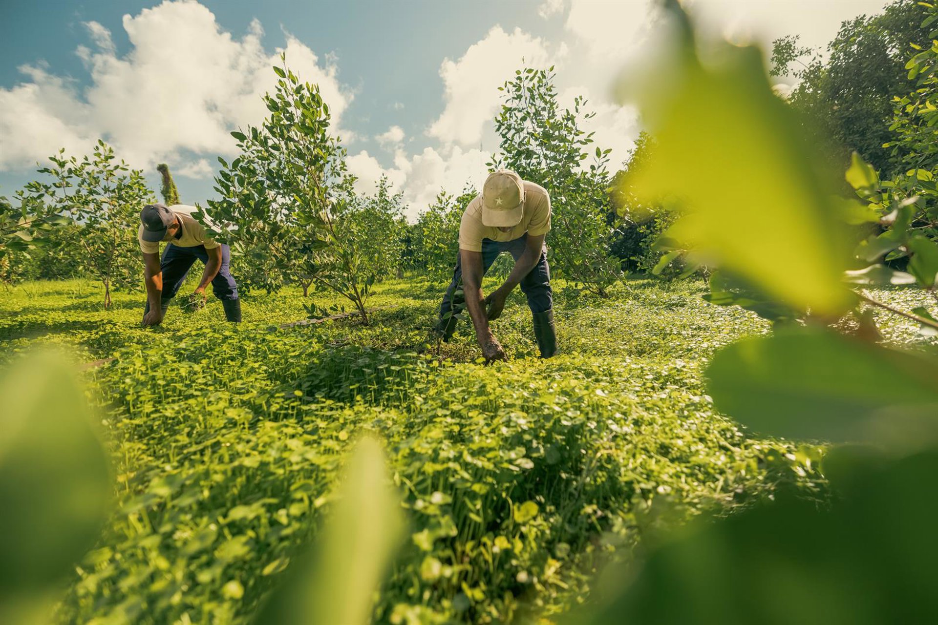 Iberostar, única empresa española entre las 100 más influyentes del mundo, según la revista Time