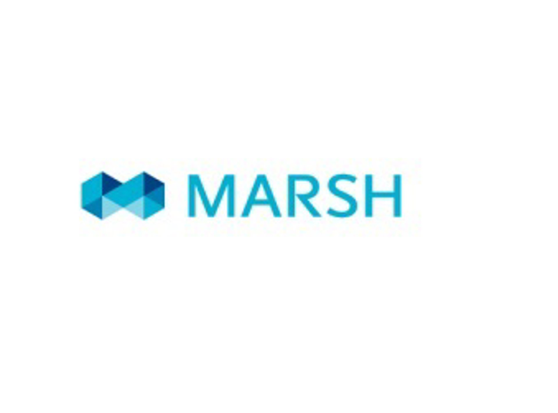 Marsh lanza una unidad para asegurar empresas contra riesgos cibernéticos