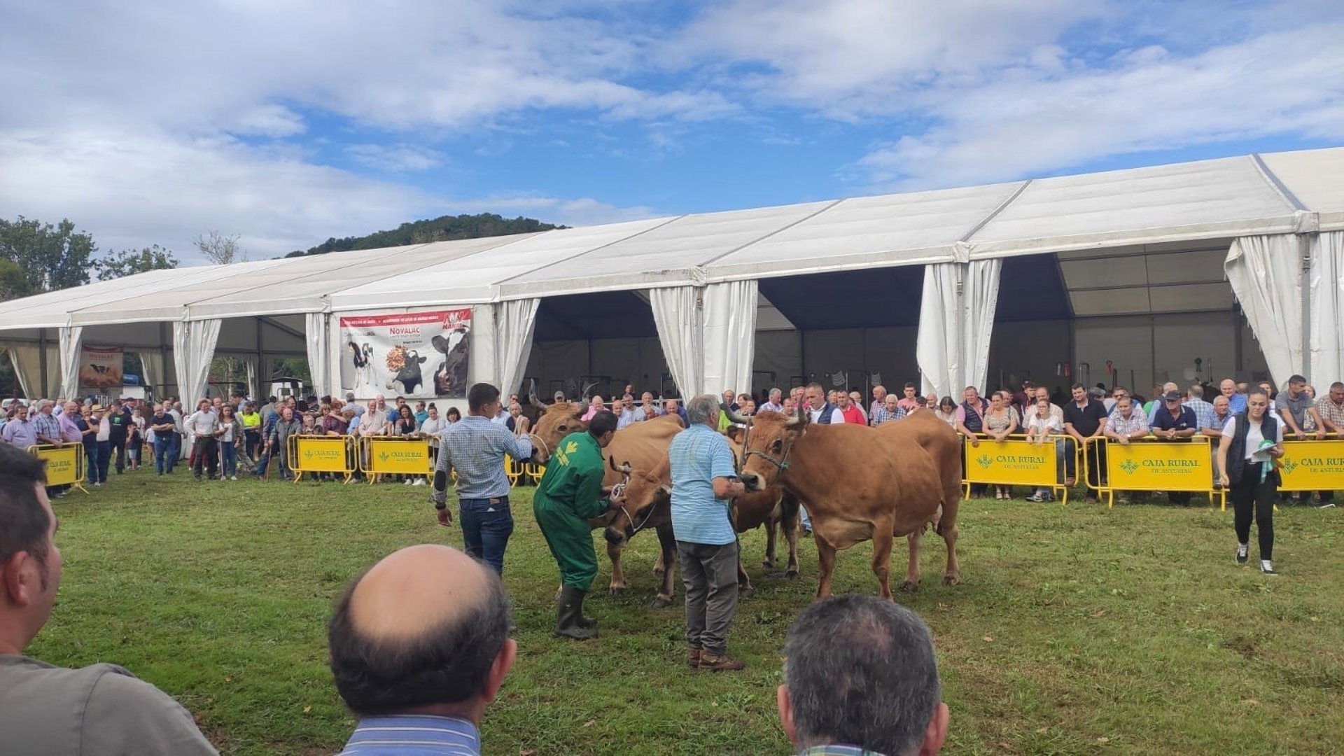 Cantabria exige al Ministerio una reunión «urgente» para analizar la futura PAC que «perjudicaría» al campo