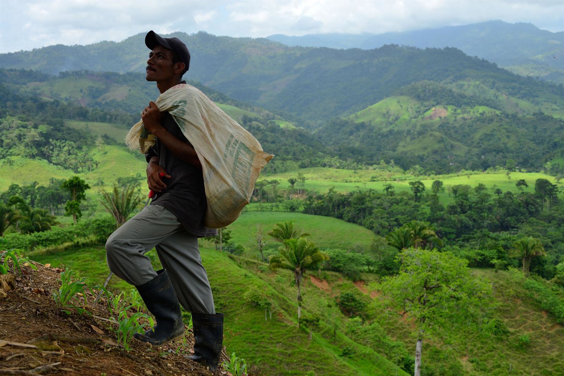 El FMI desembolsa 137 millones para Honduras tras aprobar la tercera revisión de su programa económico