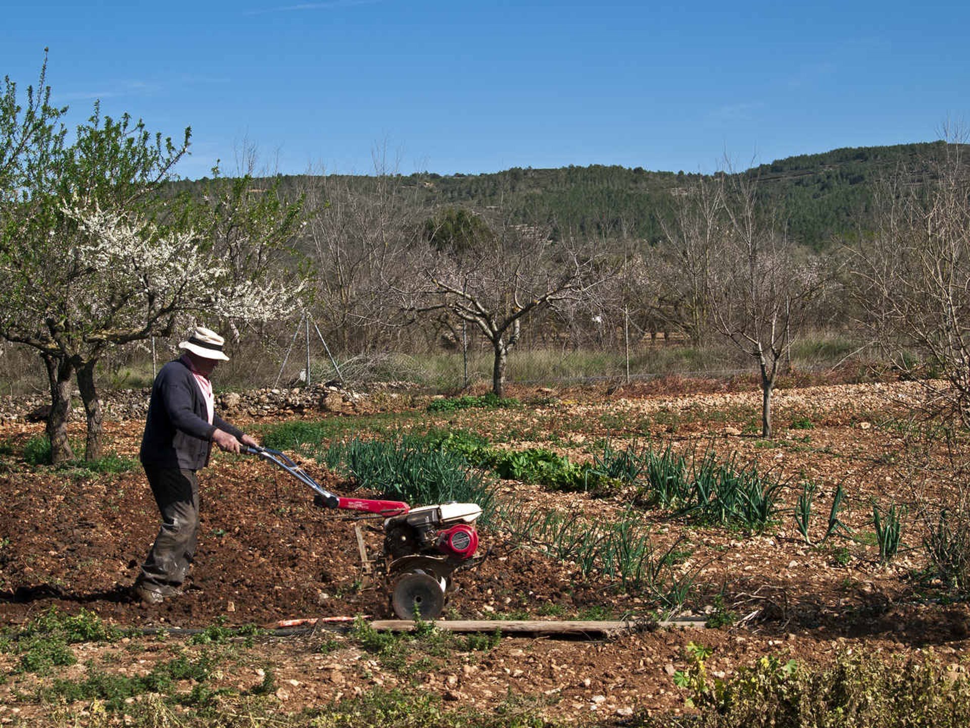La Unió denuncia que la Comisión Europea «cambia alimentos por armas» en la nueva PAC que recorta un 23%