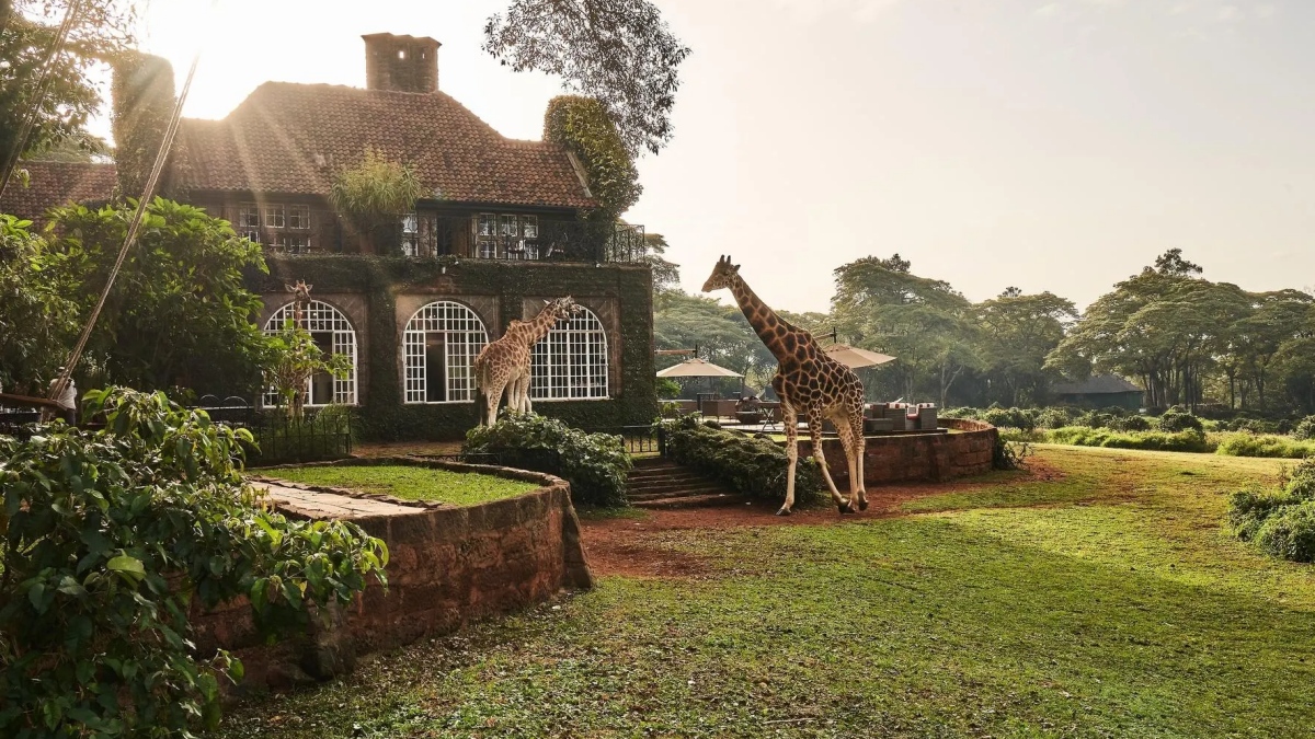 Lujo sin límites: los hoteles y cruceros de la Lista Edge 2025 de Forbes Travel Guide