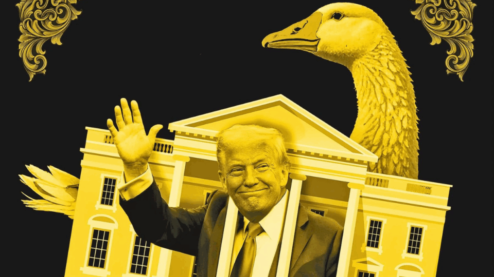 Esto es lo que han ganado los hijos de Trump gracias a la presidencia