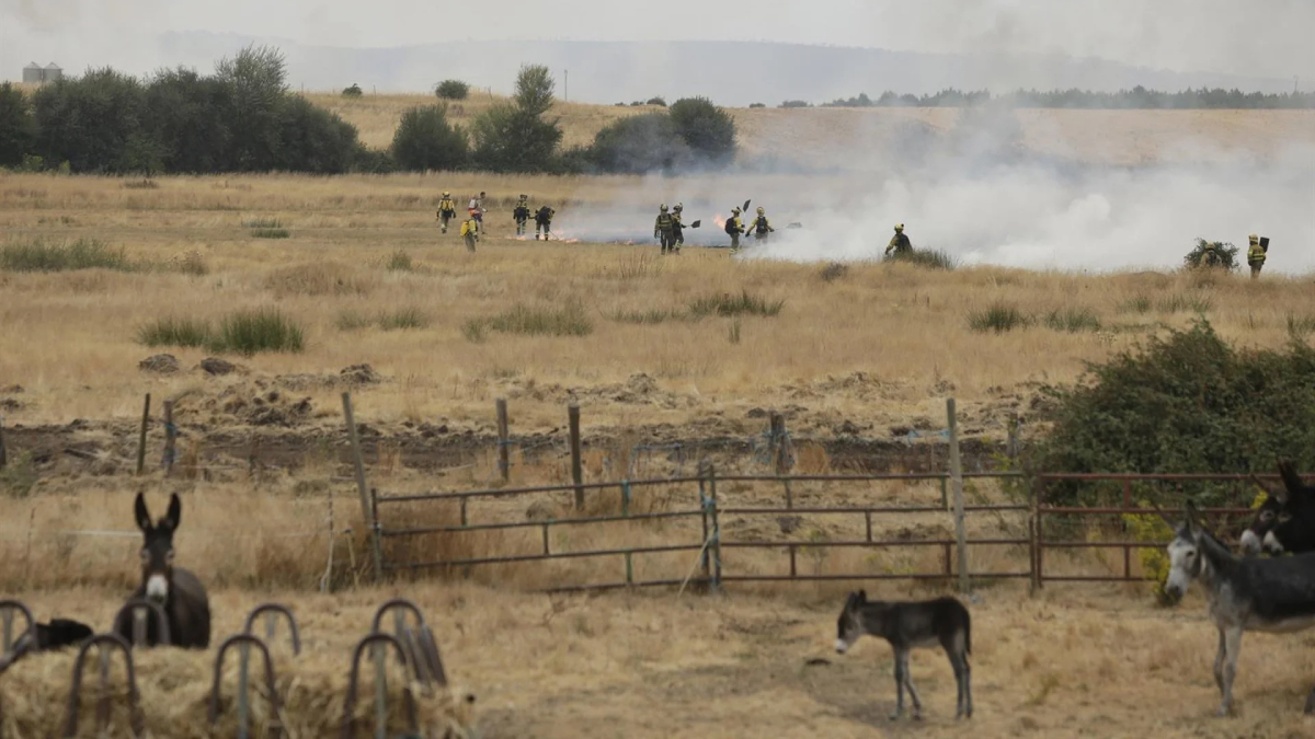 Carta a un pirómano