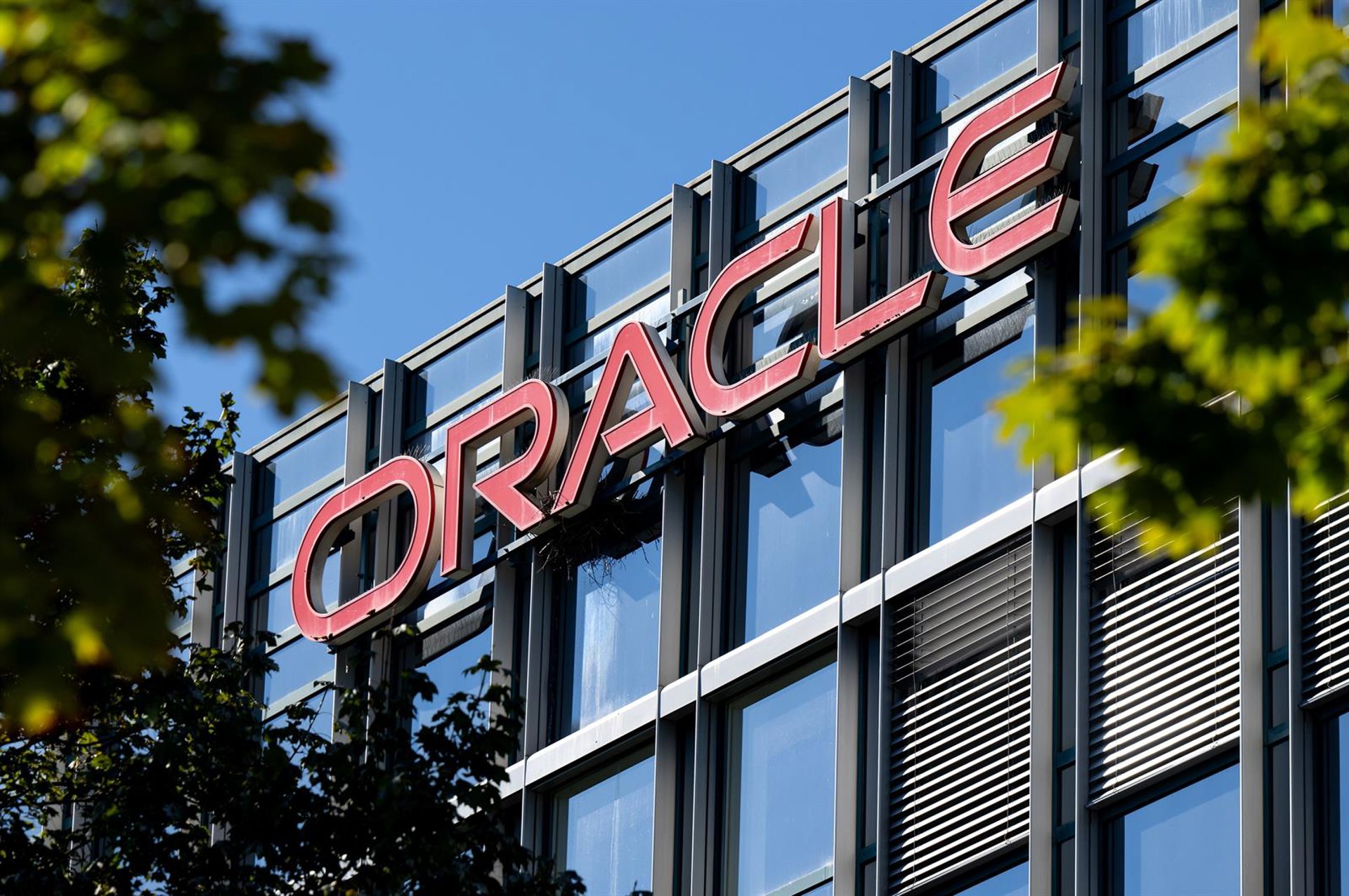 Oracle se dispara un 42% en Bolsa por las perspectivas futuras pese al estancamiento del primer trimestre