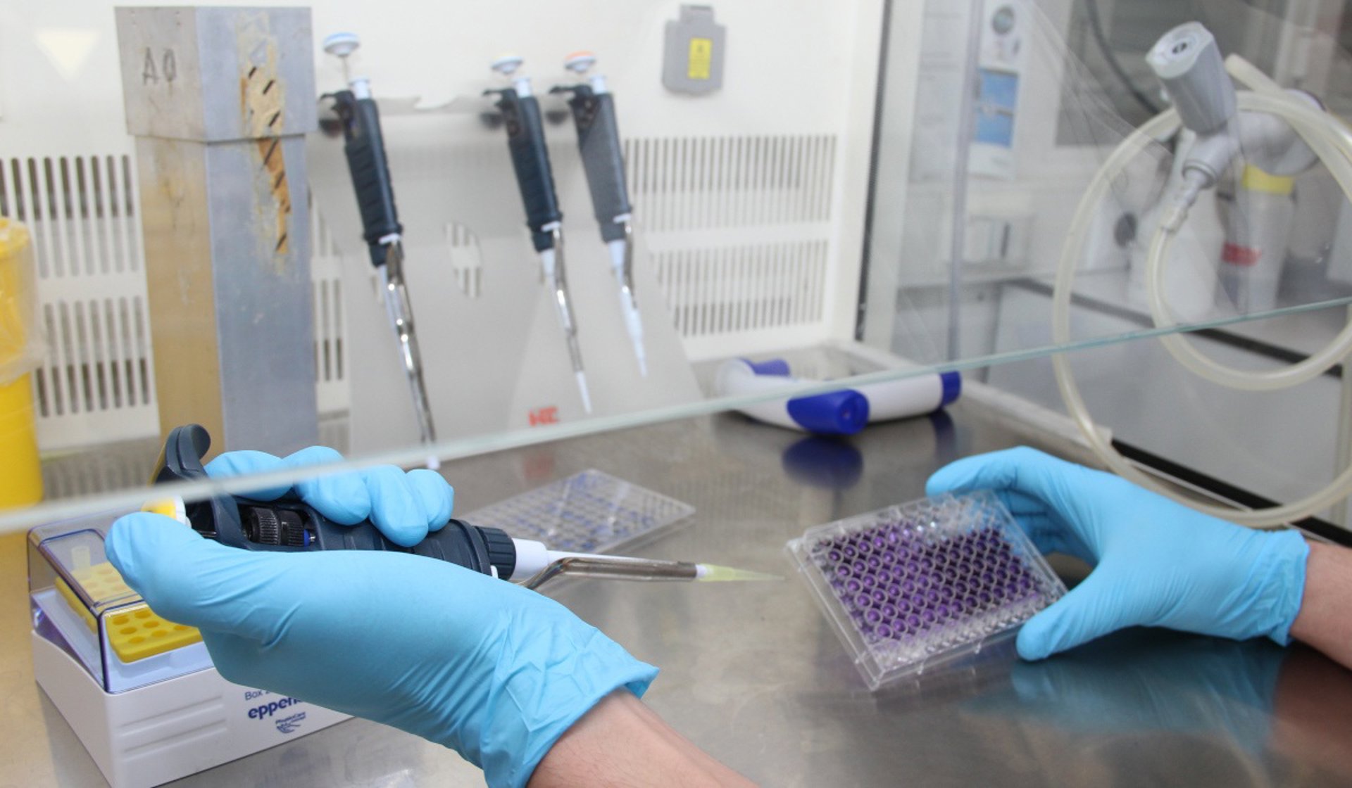 La biotecnológica Genmab comprará Merus por 6.824 millones para hacerse con un fármaco oncológico