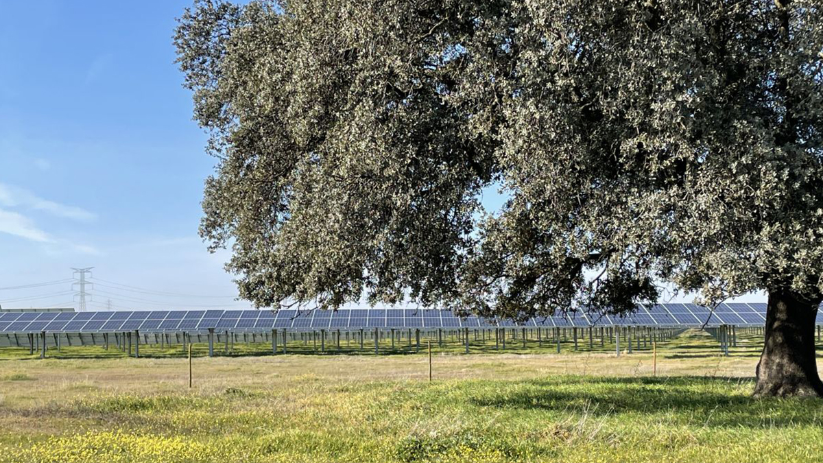 La energía solar alcanza un nuevo récord de reducción de emisiones en España