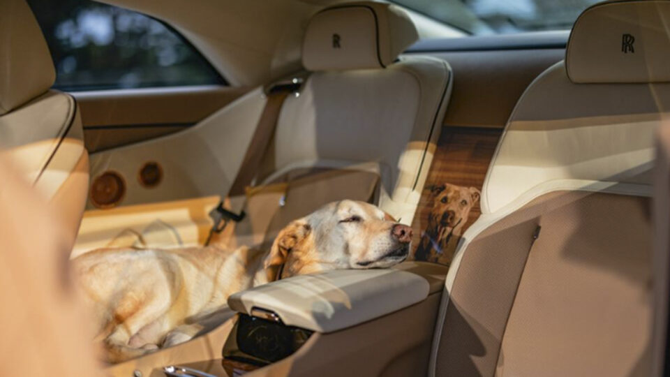 Rolls-Royce presenta un coche de lujo único en homenaje a las mascotas peludas