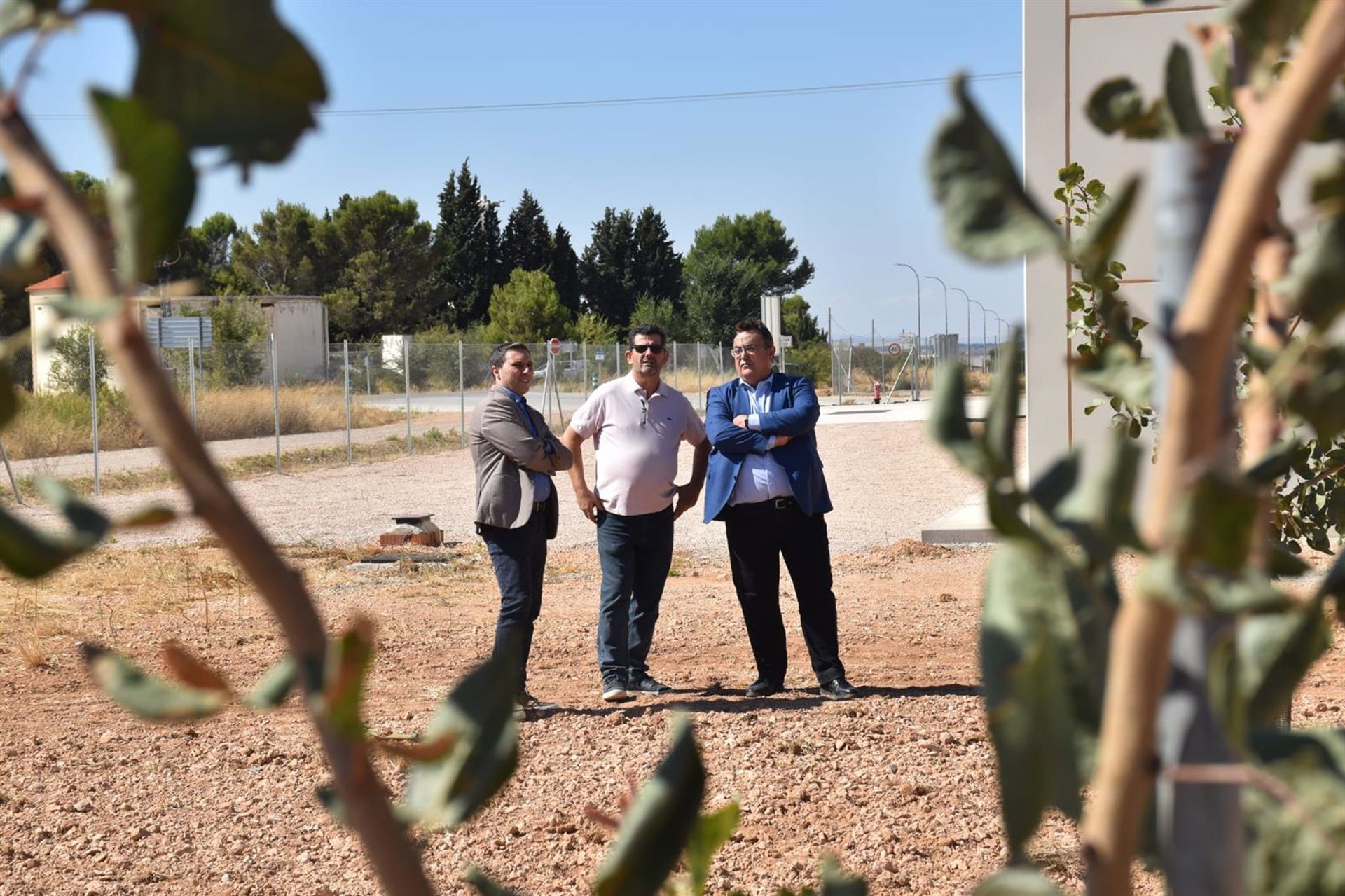 Pistacuenca prevé una producción de 150 toneladas con una cosecha de pistacho que viene «mejor de lo esperado»