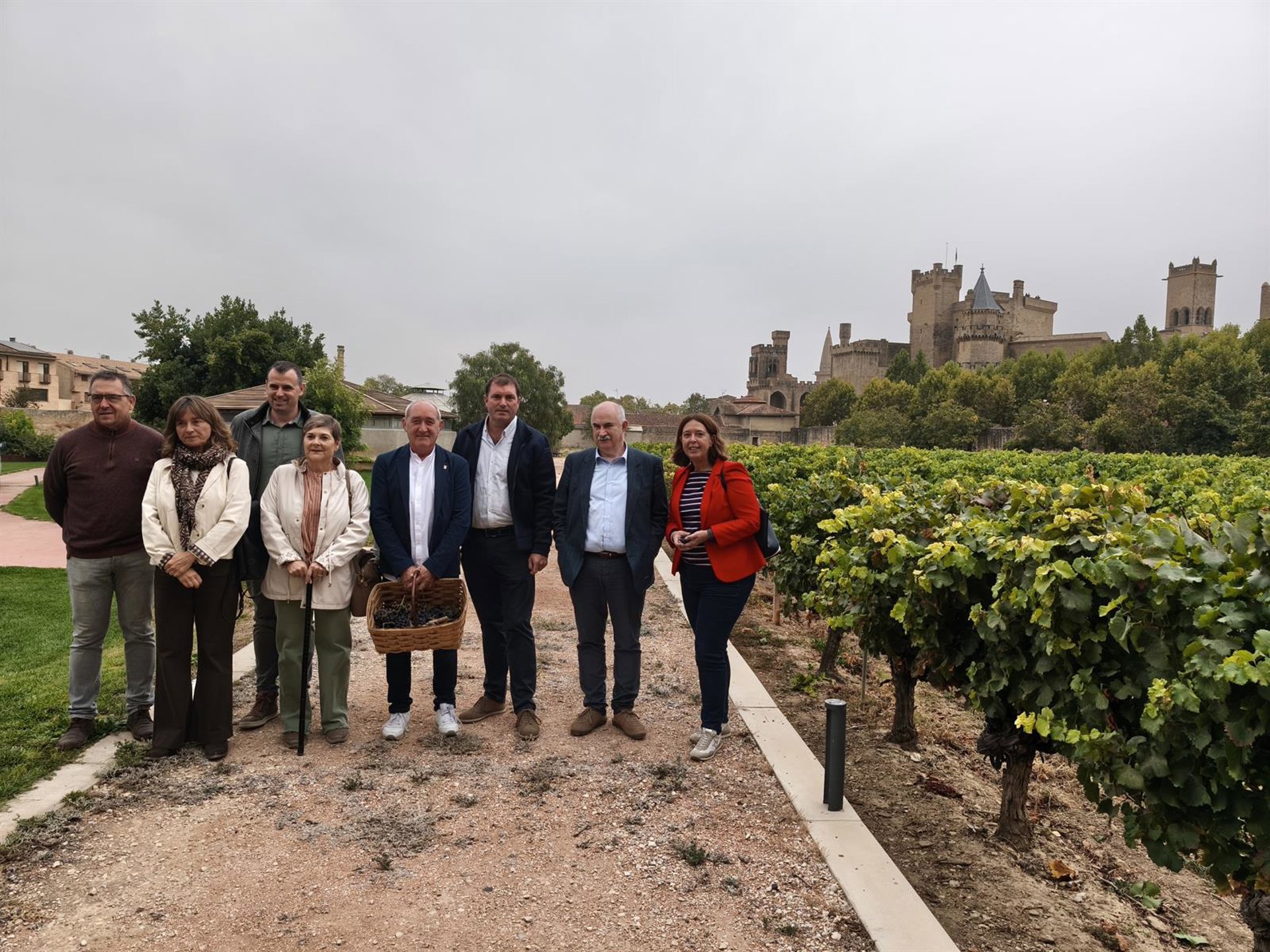 La vendimia en Navarra cierra con un «histórico descenso» de producción de uva, pero de «excelente calidad»