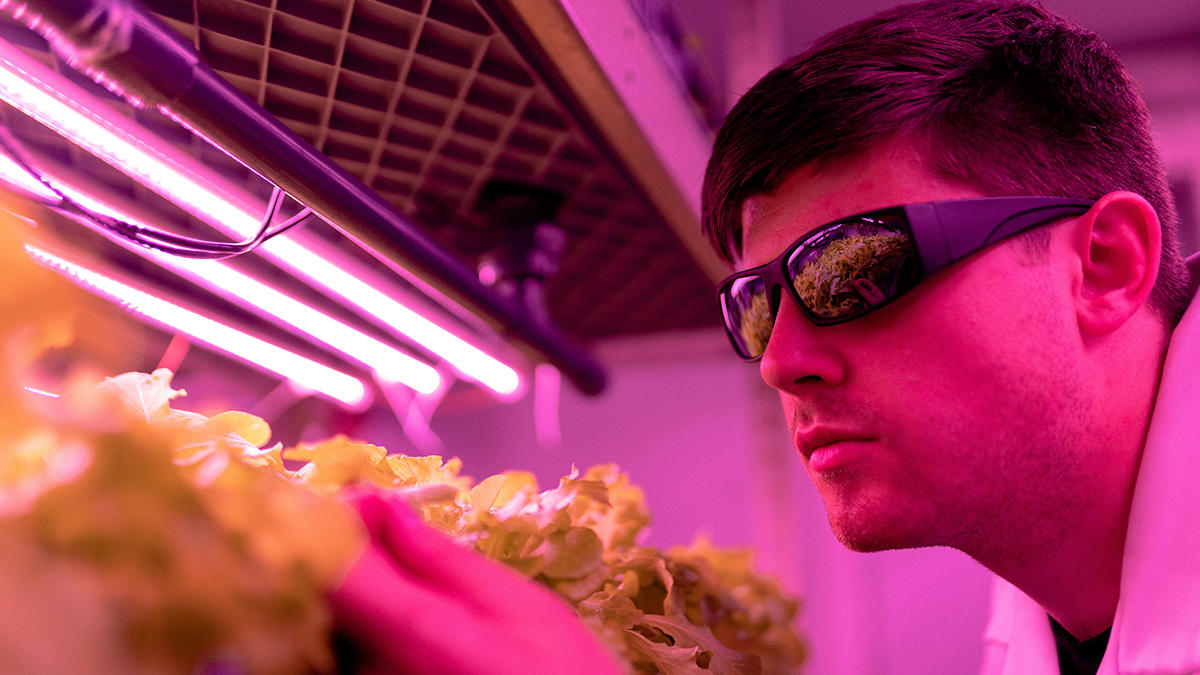 Cuidado con lo que comes, tiene valor geoestratégico