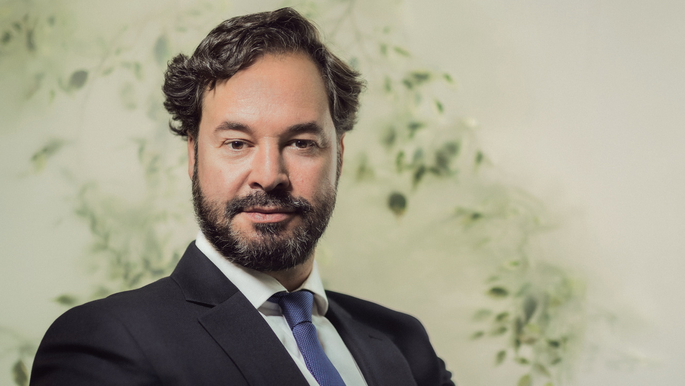 Expansión y crecimiento