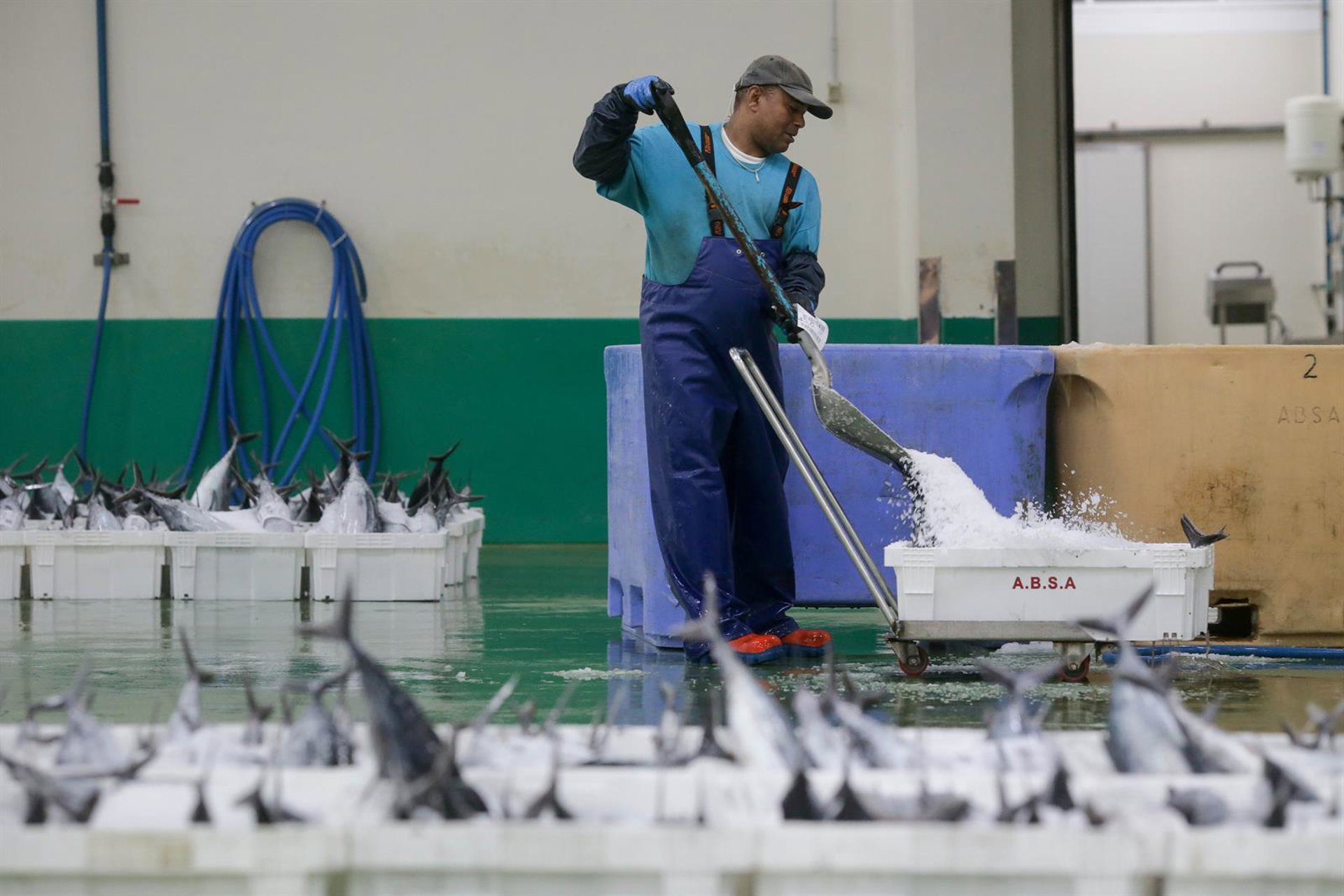 El juez homologa el plan de reestructuración de Atunlo O Grove y avala su aplicación inmediata