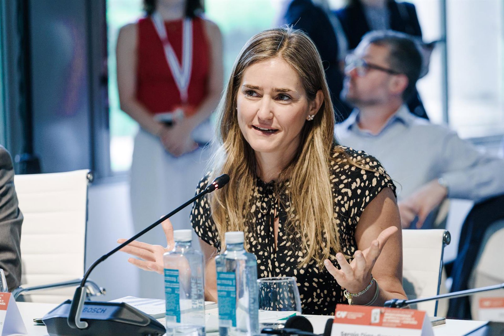 El Gobierno amplía 2 meses el plazo del programa de ayudas para proyectos singulares locales de energía limpia