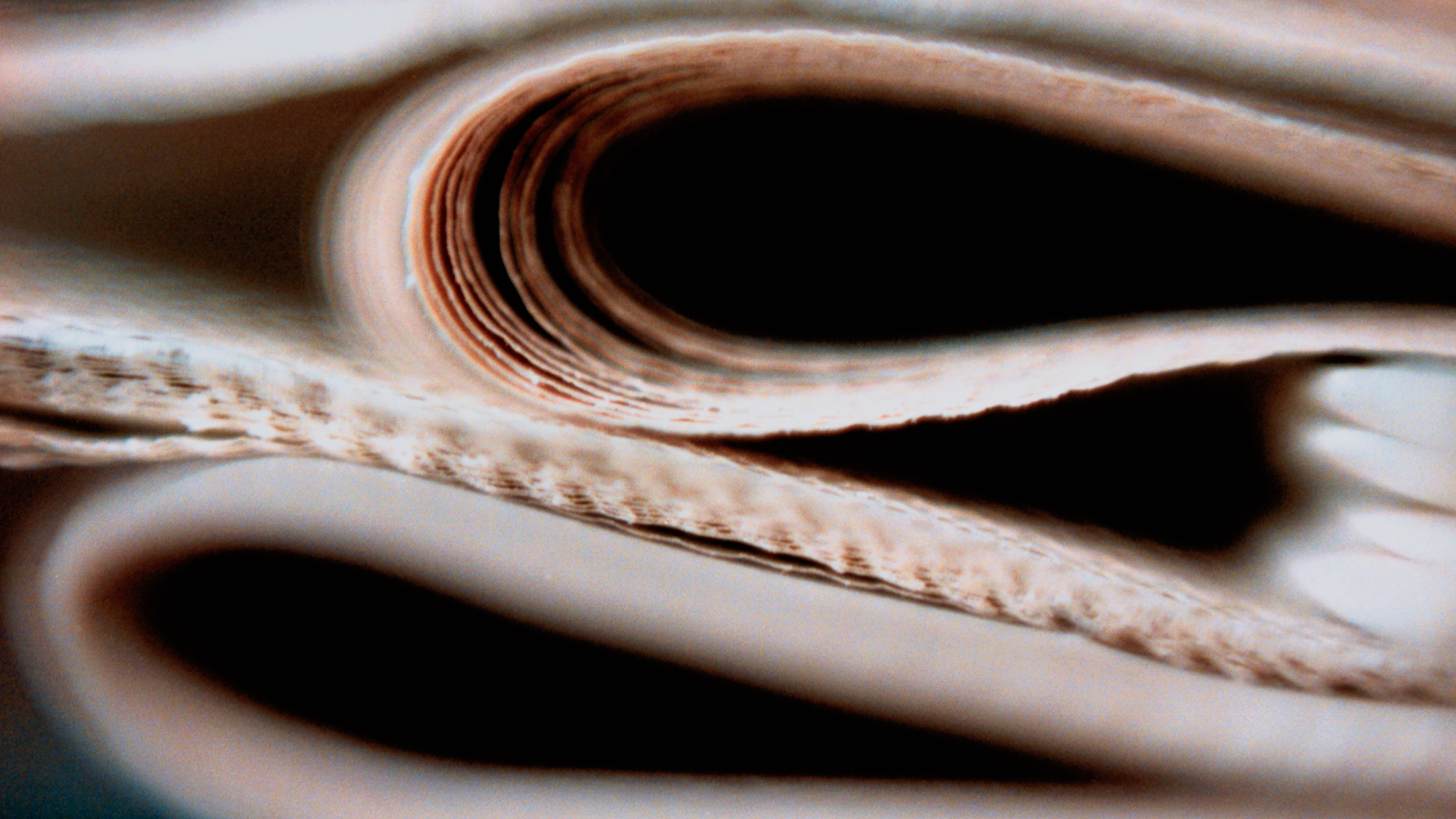 WAN-IFRA y FIPP se fusionan para crear la mayor alianza global de editores del mundo