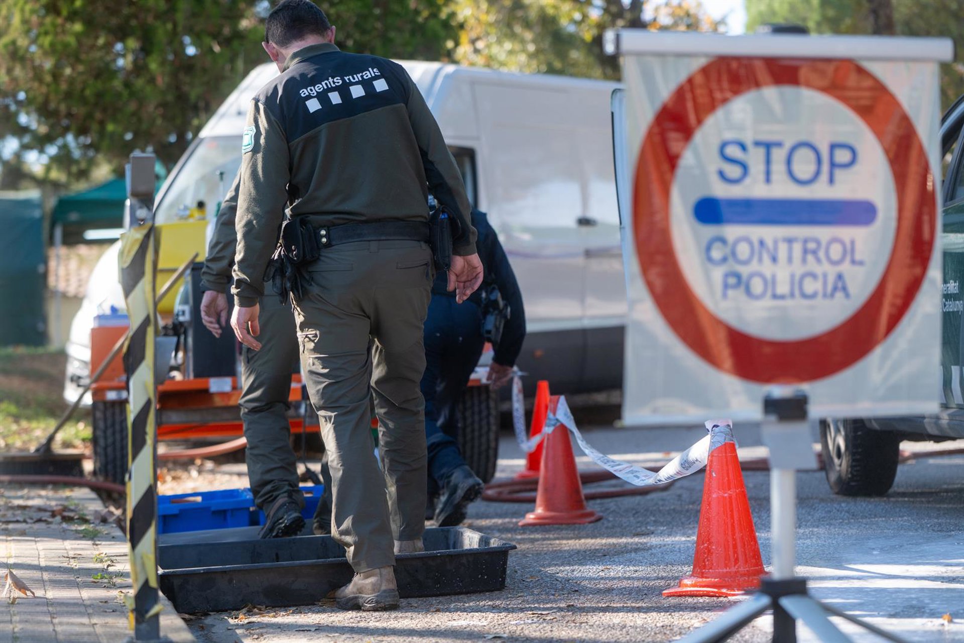 Agents Rurals tratan de evitar que los jabalíes salgan del epicentro de la PPA hacia el norte