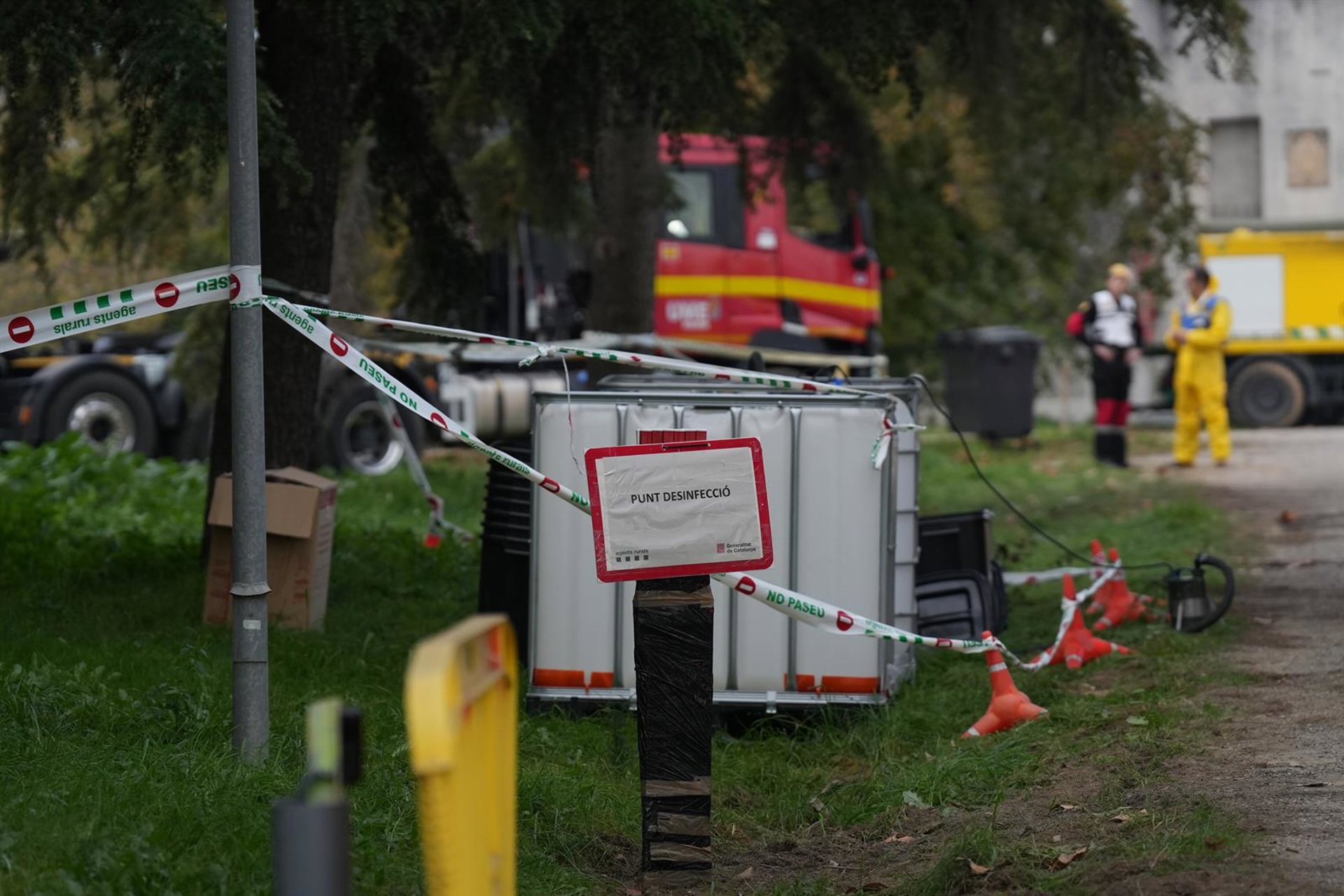 El Centro de Regulación Genómica analizará los mecanismos de resistencia natural a la peste porcina africana