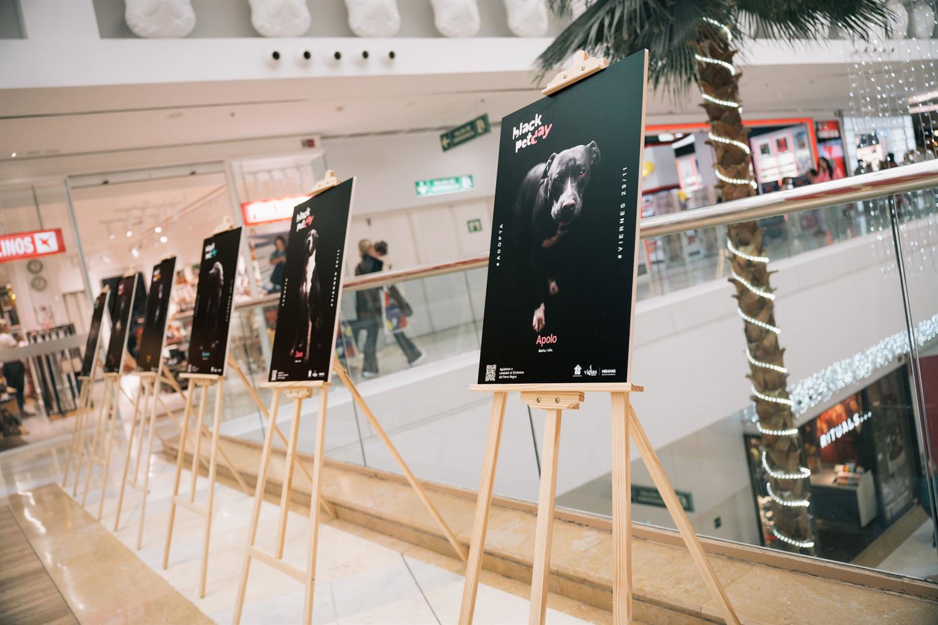 La afluencia a los centros comerciales crece un 3,6% interanual en noviembre, según Sensormatic Solutions