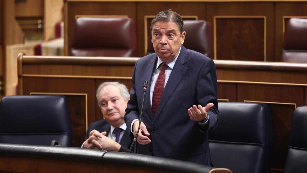 PP y Junts culpan al Gobierno del aumento de jabalís y Planas pide que ...