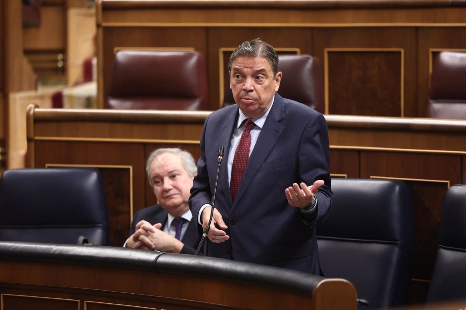 PP y Junts culpan al Gobierno del aumento de jabalís y Planas pide que ...