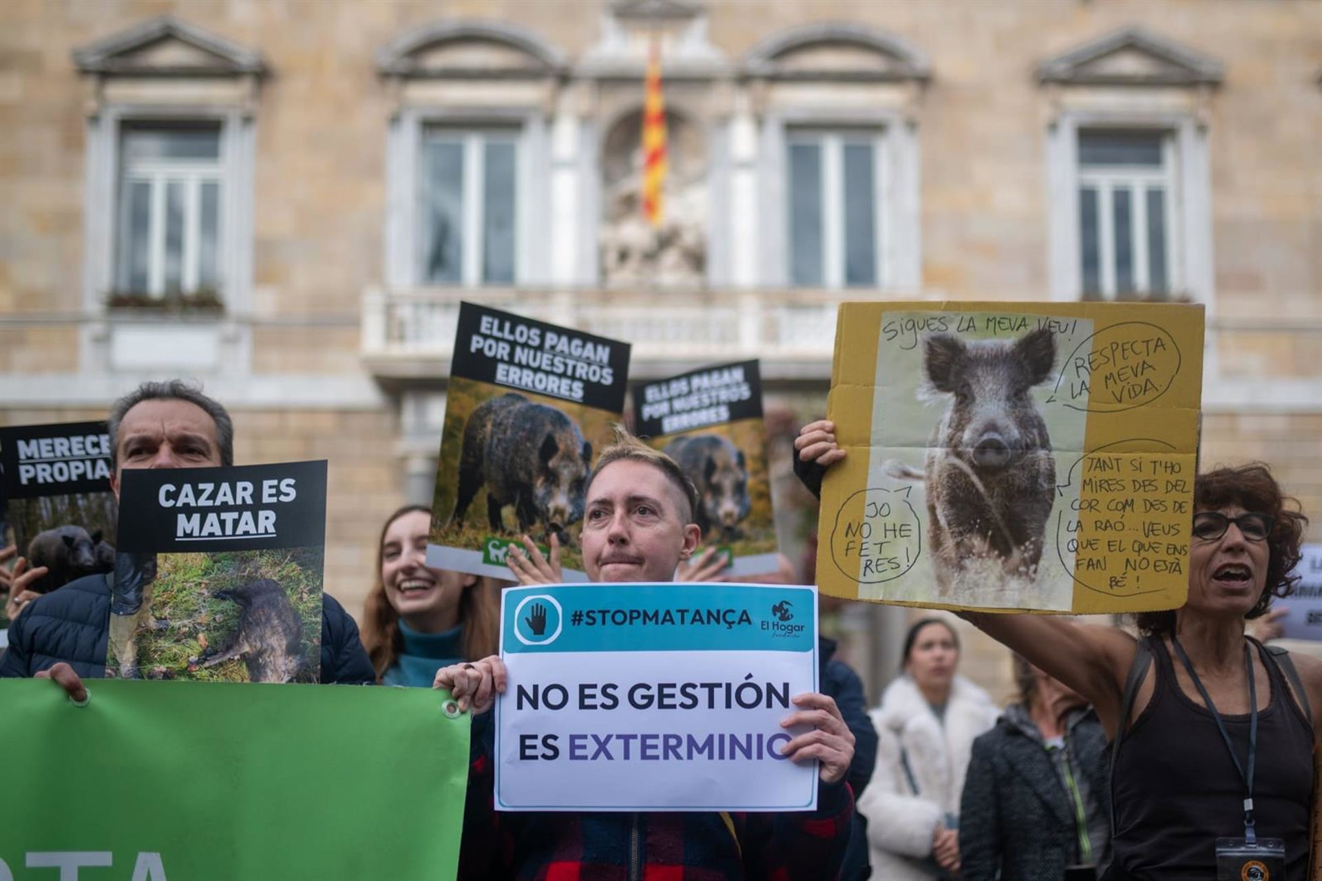 Más de 200 concentrados en Barcelona contra la matanza de jabalíes ante la peste porcina