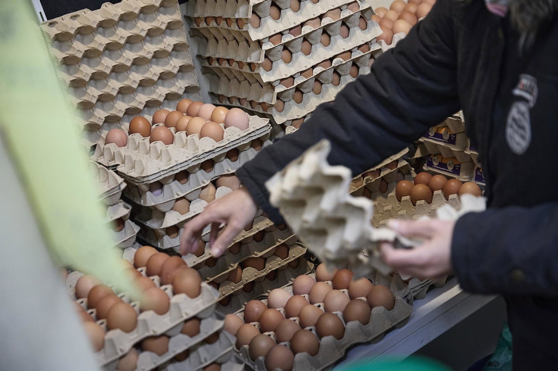 Huevos, café, carne de vacuno y chocolate disparan sus precios en lo que va de año, con alzas de dos dígitos