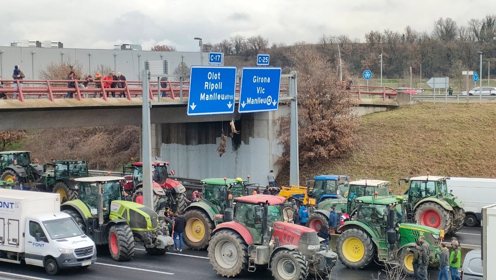Ganaderos catalanes cuelgan un jabalí y un ciervo muertos en la C-17 por exceso de fauna salvaje