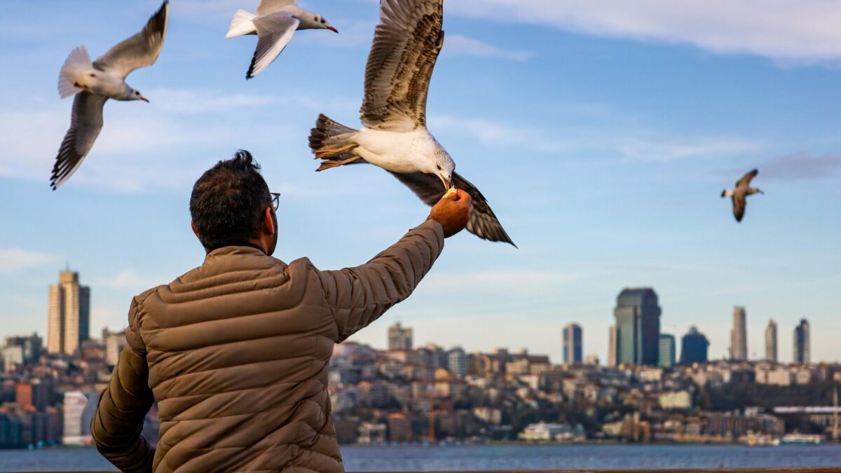 Holafly Plans inaugura una nueva era de tranquilidad conectada para el viajero moderno