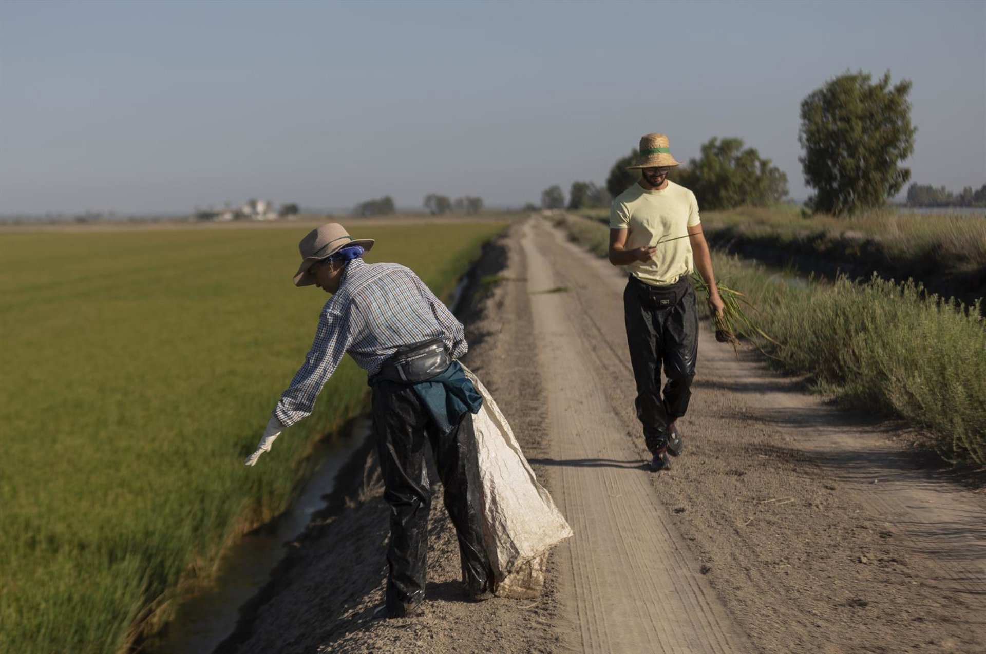 COAG valora la regularización de migrantes ante la falta de mano de obra en el medio rural