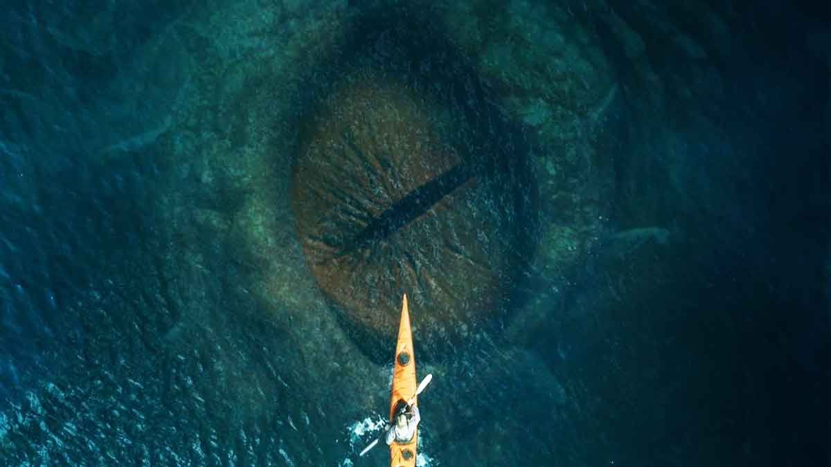 Kraken: el legendario monstruo marino noruego que está dando que hablar llega al cine