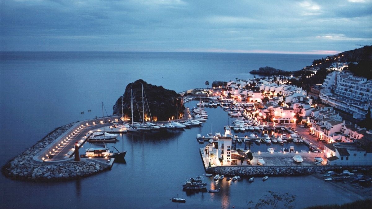 Los microarrecifes de Marina del Este disparan la biodiversidad en solo seis meses