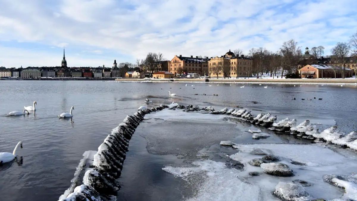 El mar revela su pasado: un naufragio del siglo XVII emerge en Estocolmo