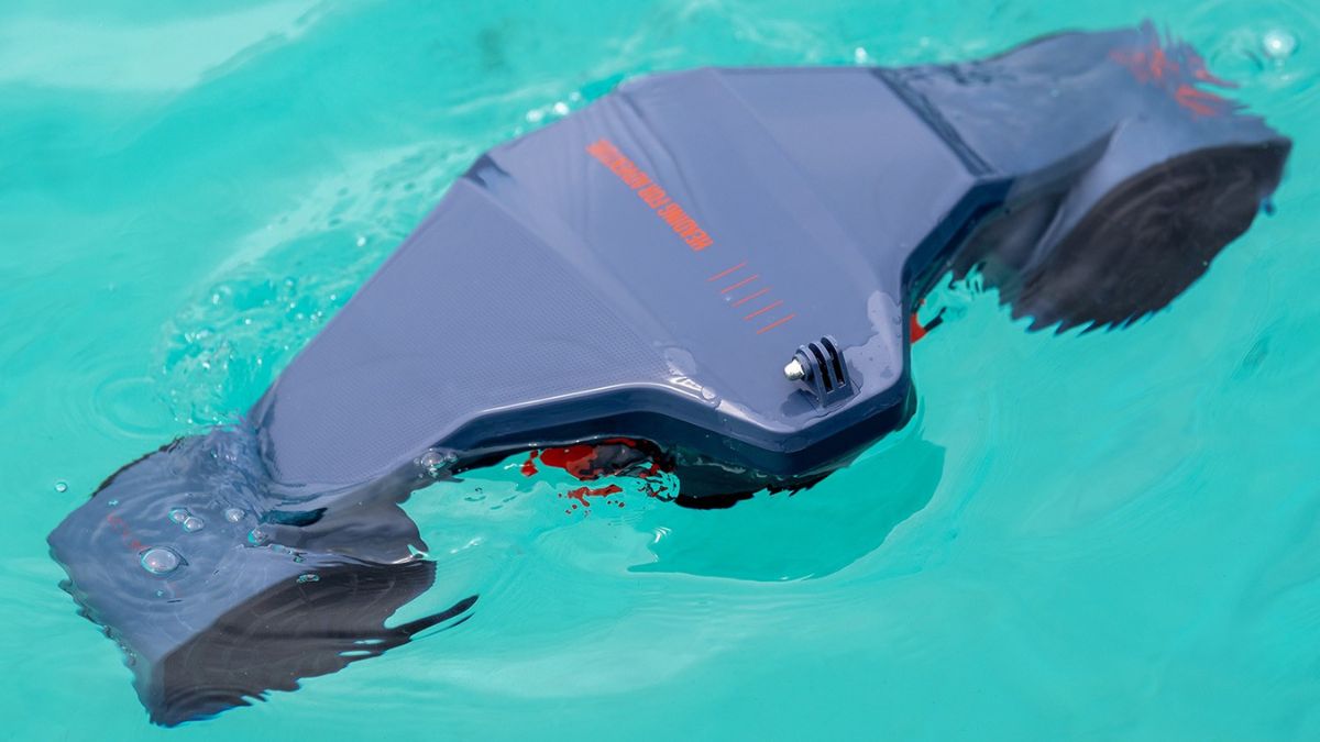 SeaScooter Adventure: Jobe y Axopar se unen para hacer más divertida la exploración submarina