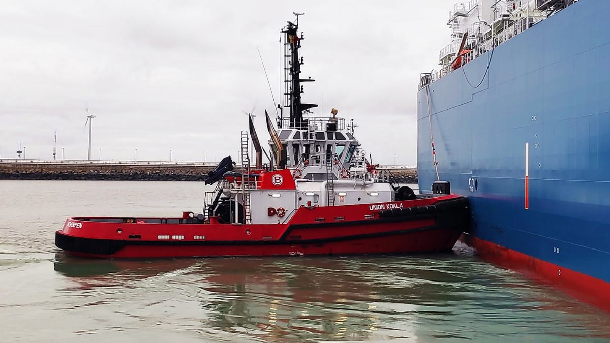 Boluda y MSC culminan su integración en una sociedad valorada en más de 2.000 millones de euros