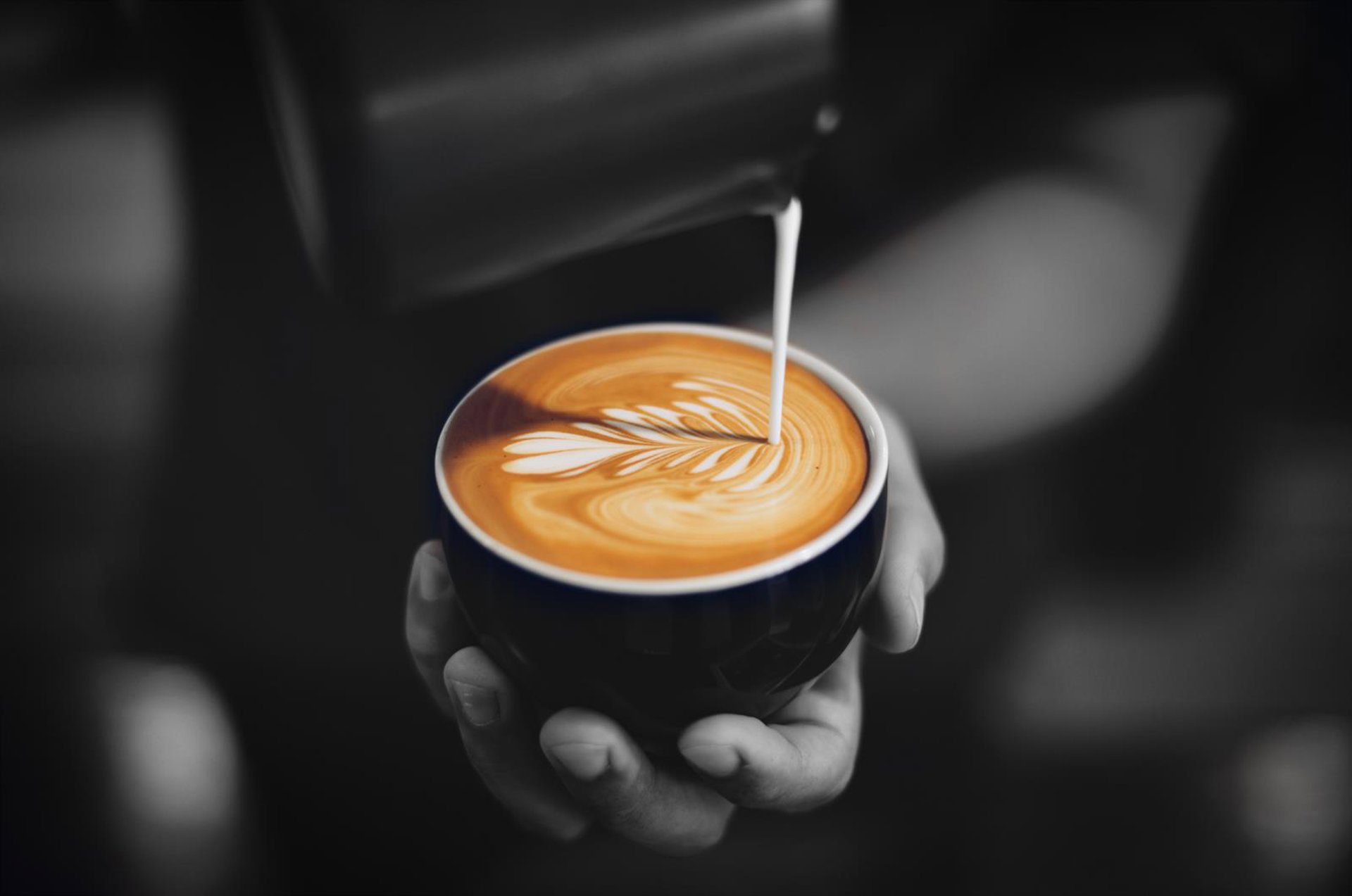 CoffeeFest arranca hoy en Madrid como la gran feria del café de especialidad y la hostelería de Europa