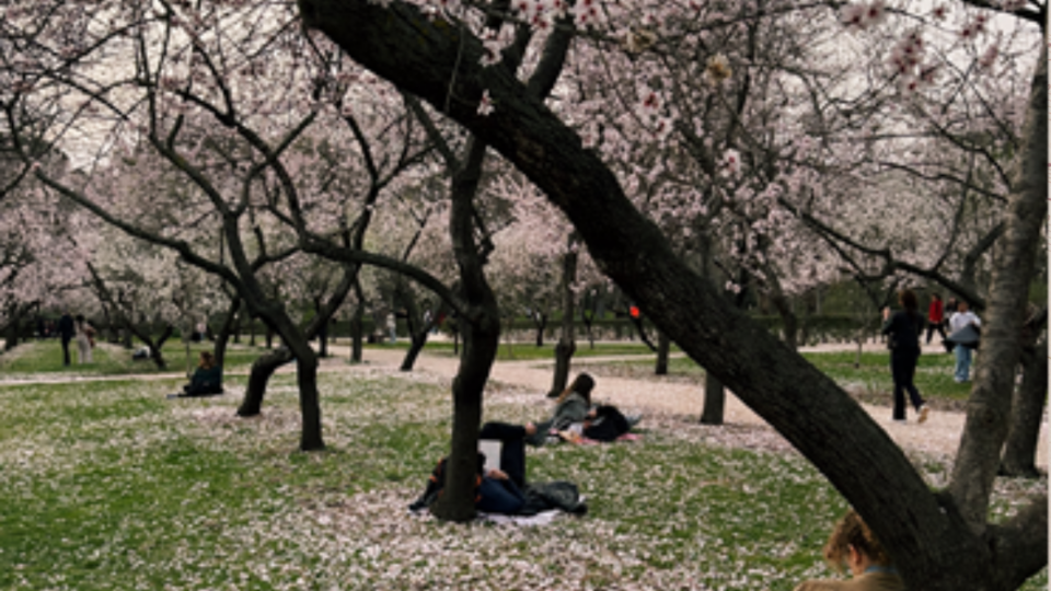 ¿Hay algo más exitoso que la primavera?