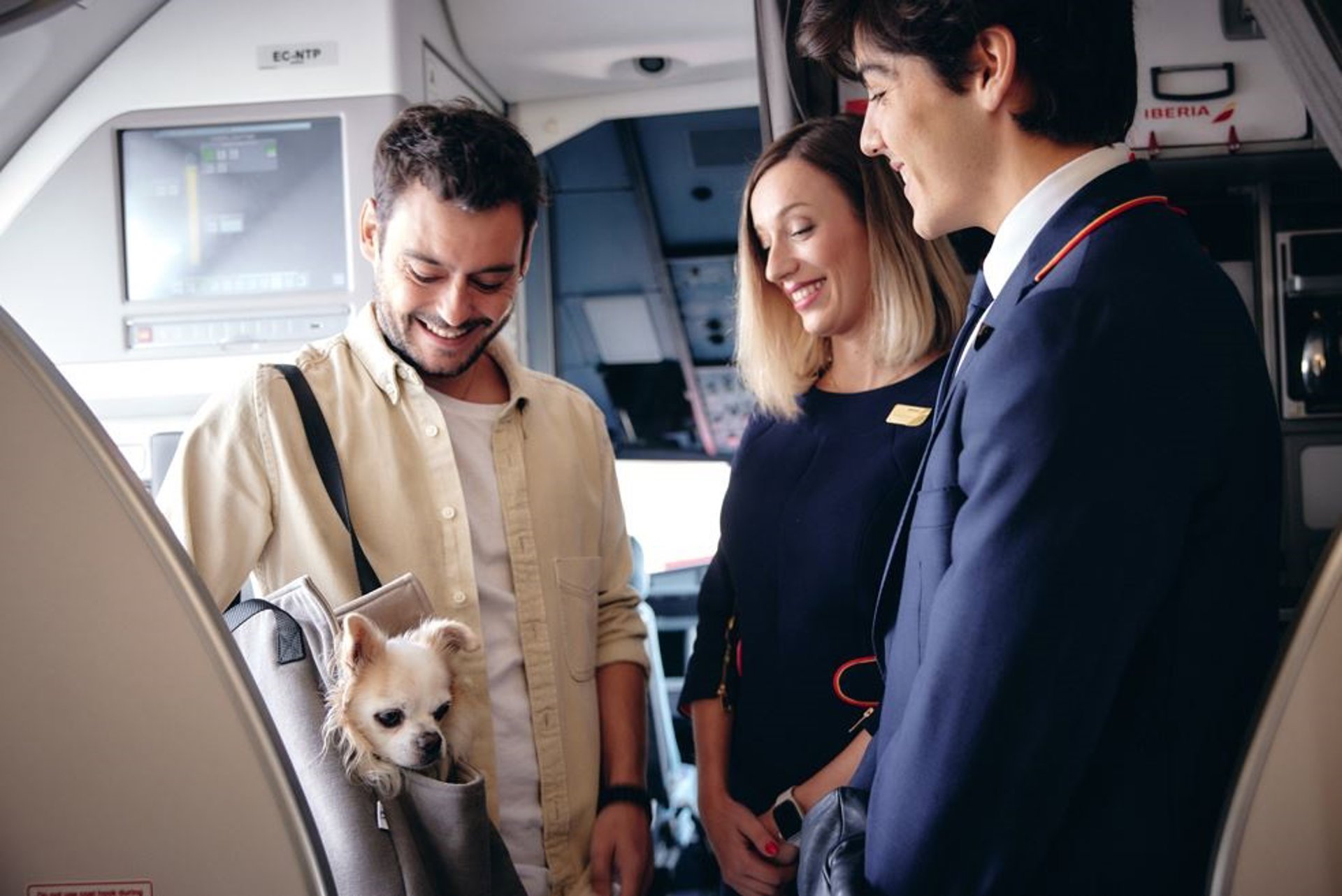Iberia digitaliza el viaje de mascotas y permite que se añadan a la reserva directamente desde la web
