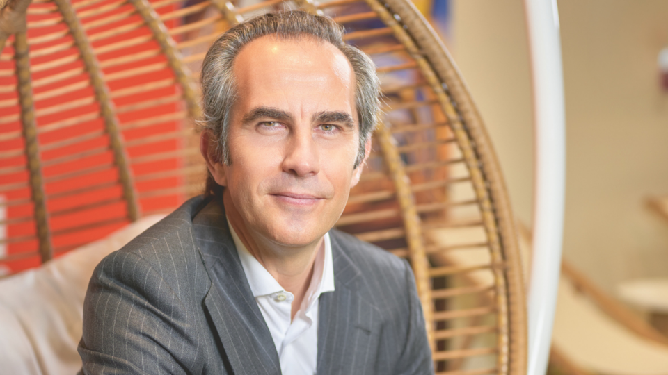 En pleno crecimiento