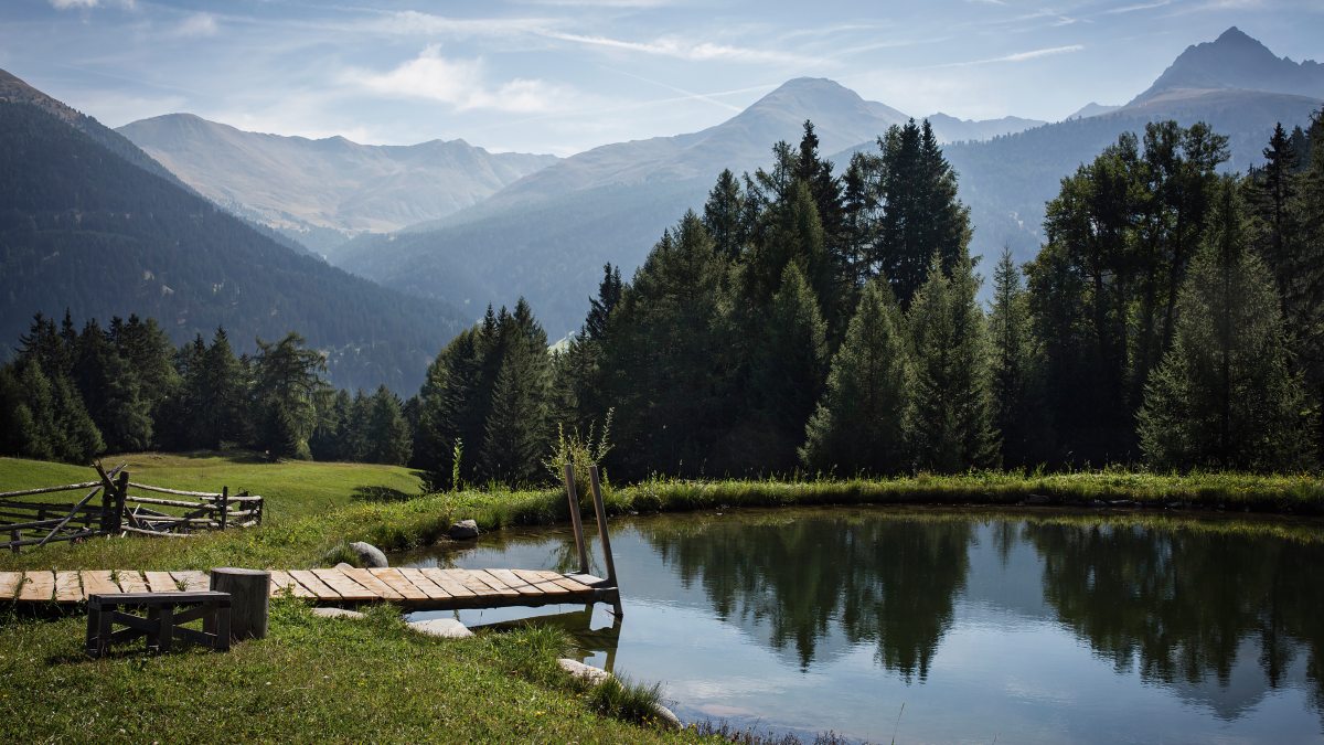 Lujo a la tirolesa: de vacaciones en las granjas del Tirol