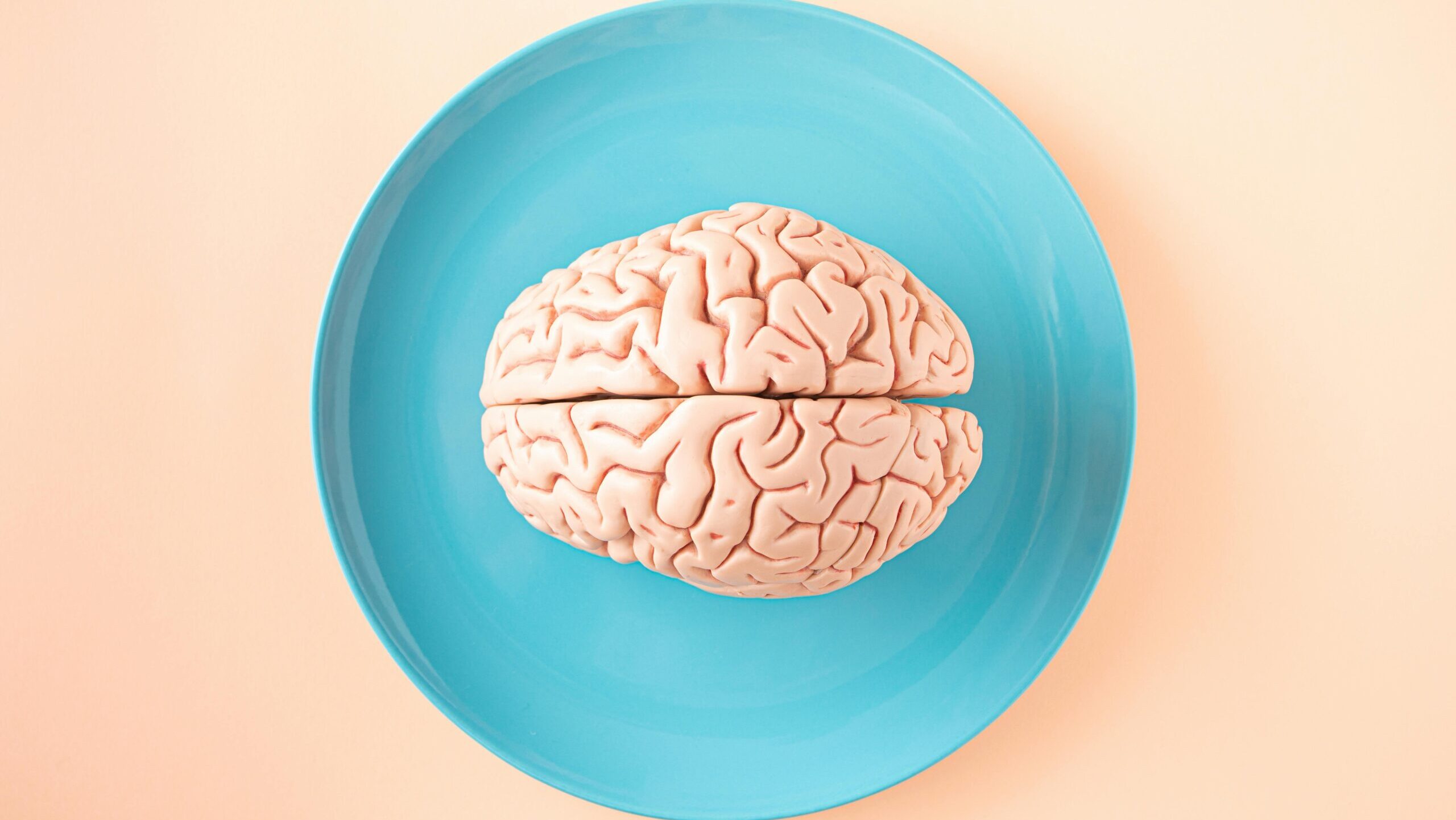 cerebro