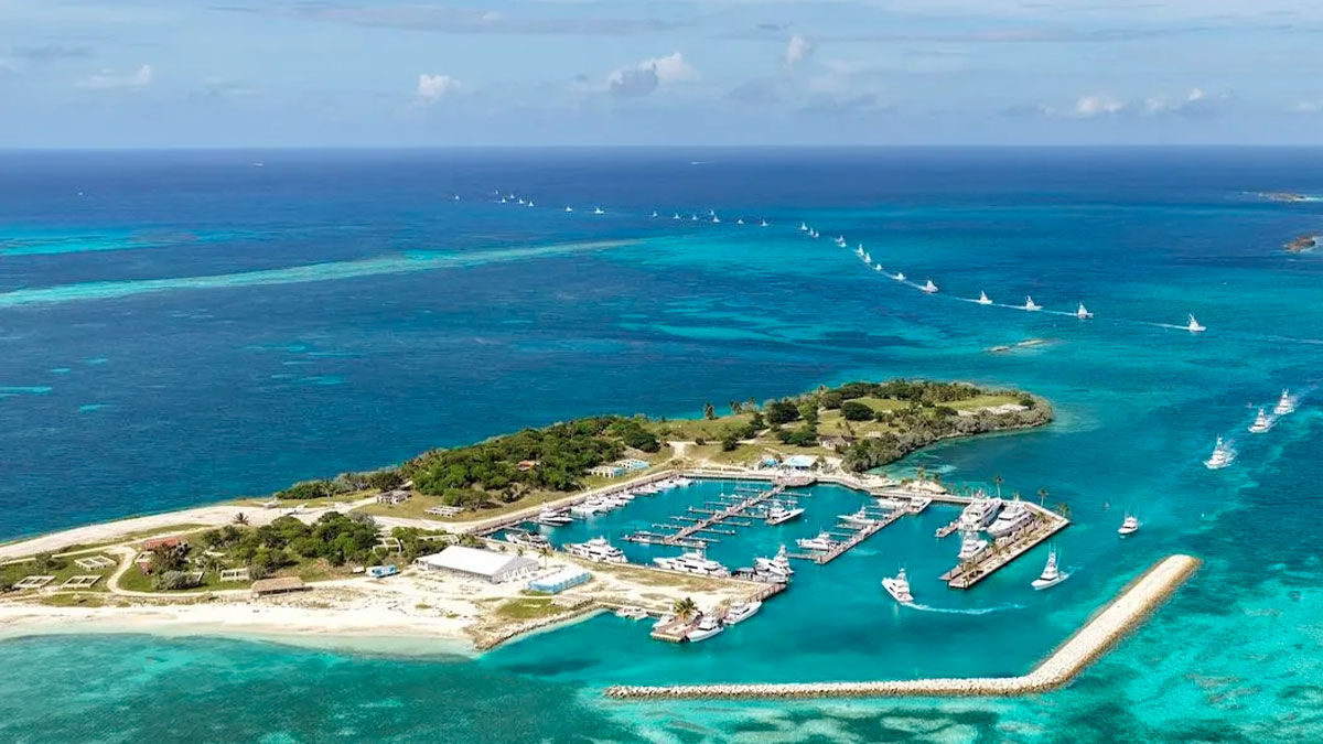 Grandes marlines y premios millonarios atraen de nuevo a la élite de la pesca a Walker’s Cay (Bahamas)