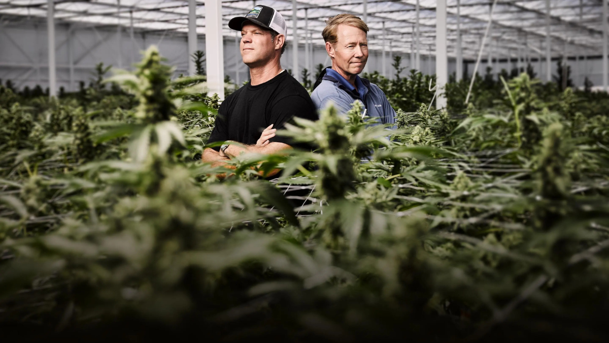 El mayor invernadero de cannabis de Estados Unidos quiere conquistar Wall Street