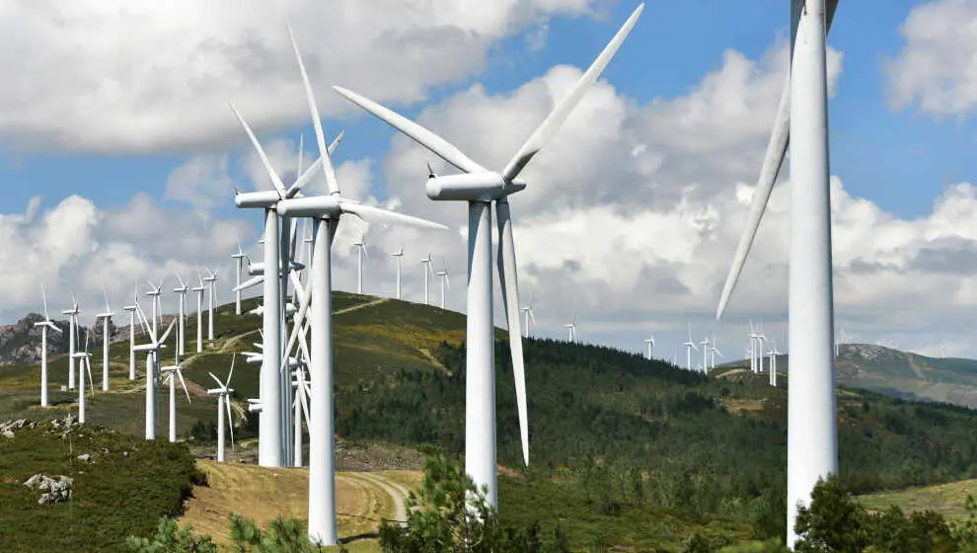 Asociaciones europeas de consumidores denuncian a empresas energéticas hacer ‘greenwashing’