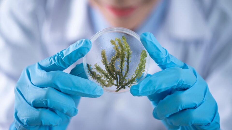 El sector ‘biotech’ bate su récord de captación de inversión con 408 millones y aporta el 1,2% del PIB