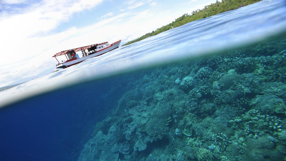 Estas son las mejores áreas marinas protegidas