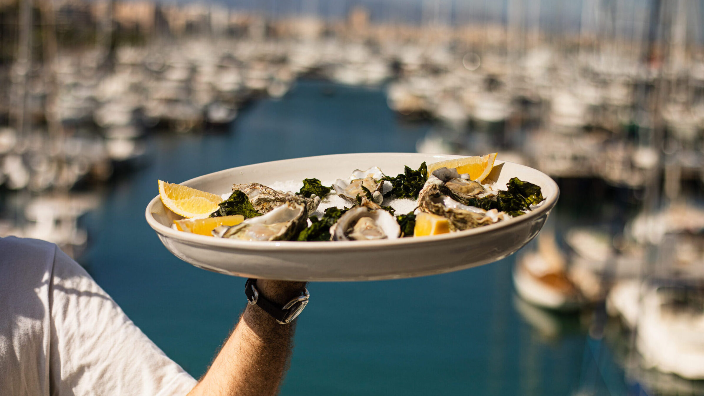 Azotea Grupo s'estrena al Club de Mar amb dos conceptes gastronòmics diferents