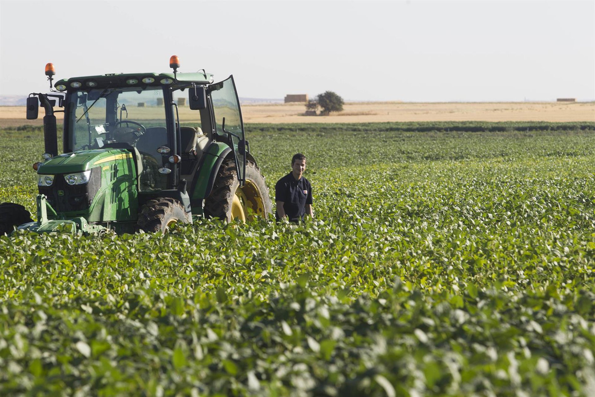 Molinos Agro y la Asociación de Cooperativas Argentinas construirán una planta de molienda por 437,6 millones