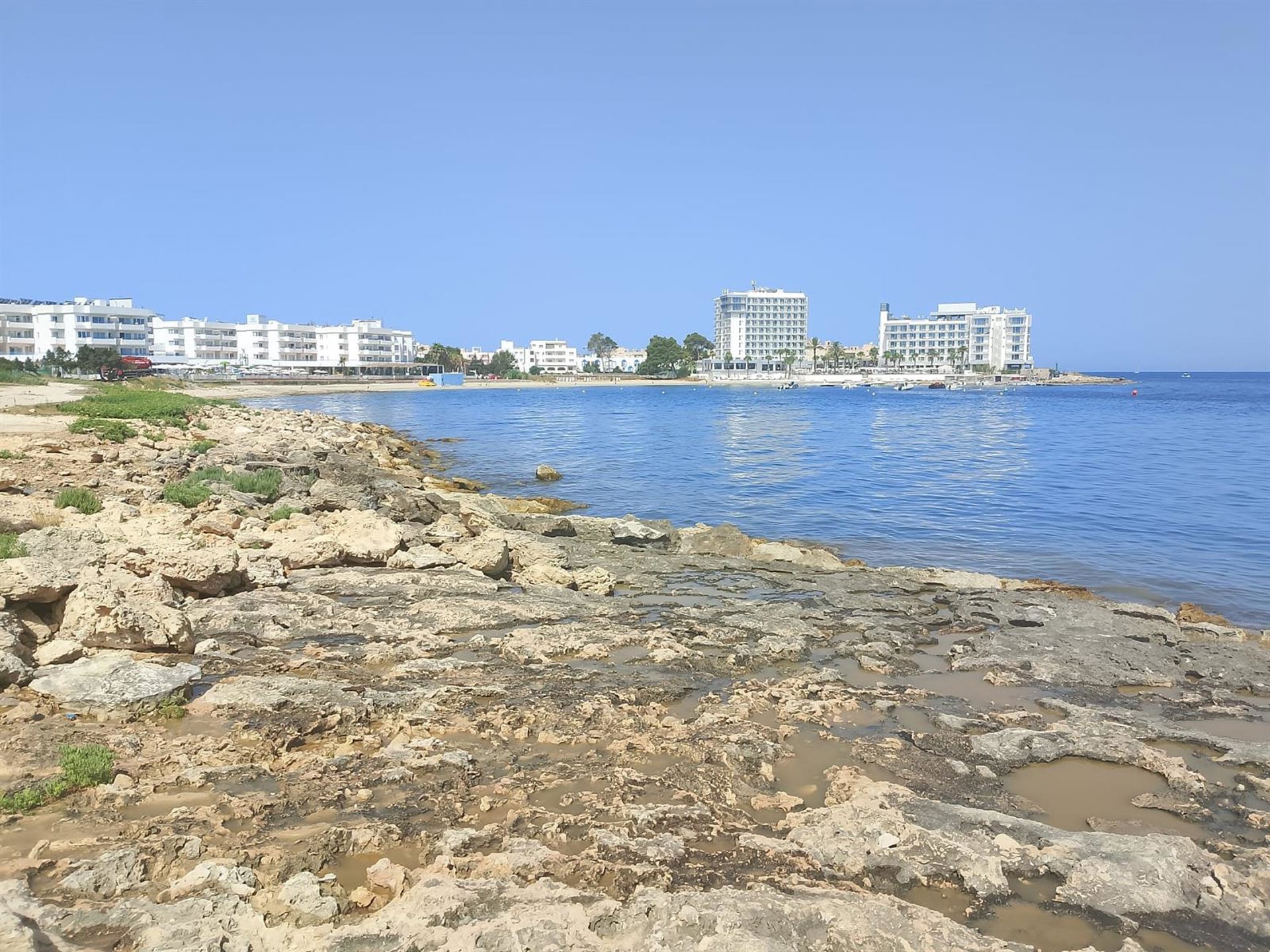 Salvem sa Badia alerta que sus muestras en la costa de Cala de Bou rebasan los límites permitidos por aguas fecales