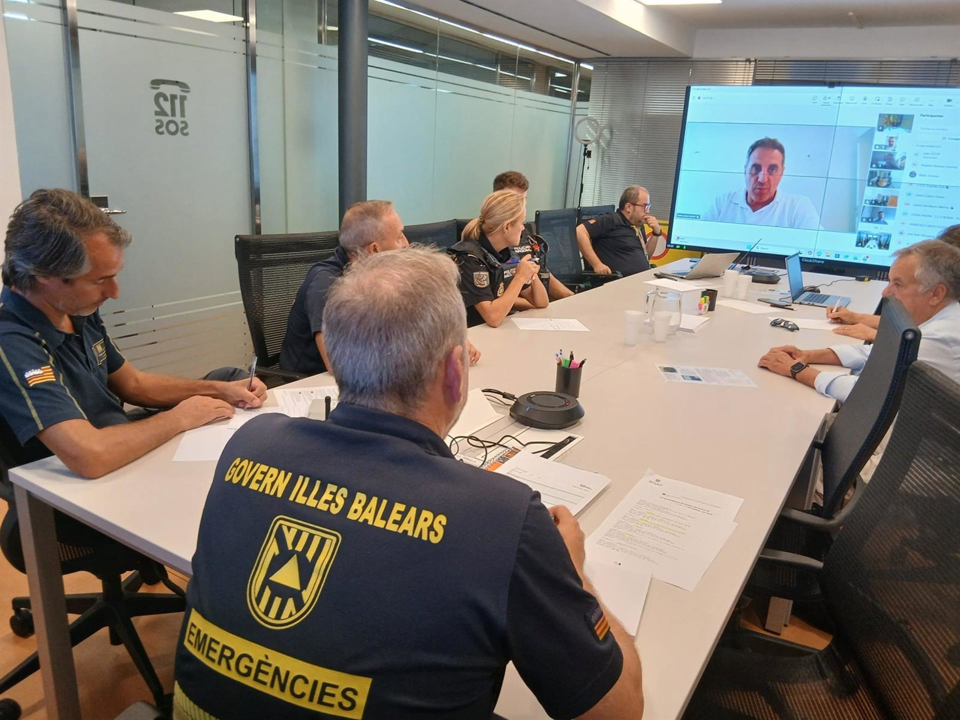 El inicio del temporal deja nueve incidentes en Baleares, todos relacionados con caídas de árboles y ninguno grave