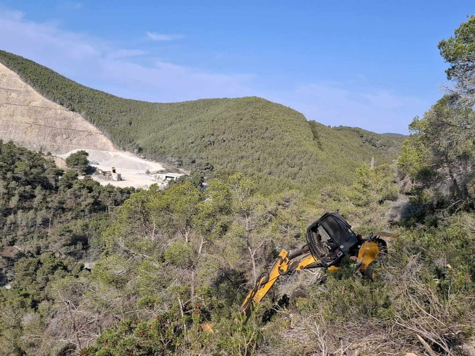 Culmina la restauración de 134 hectáreas forestales para reforzar la prevención de incendios en Baleares